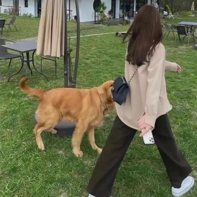 青春逗