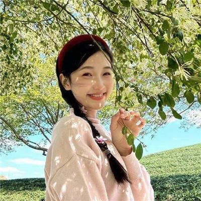 哈兰·科本的庇护所